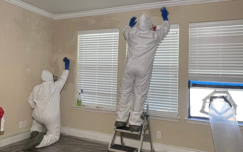 Topically-Cleaning-Walls-3.jpg Topically-Cleaning-Walls-3.jpg